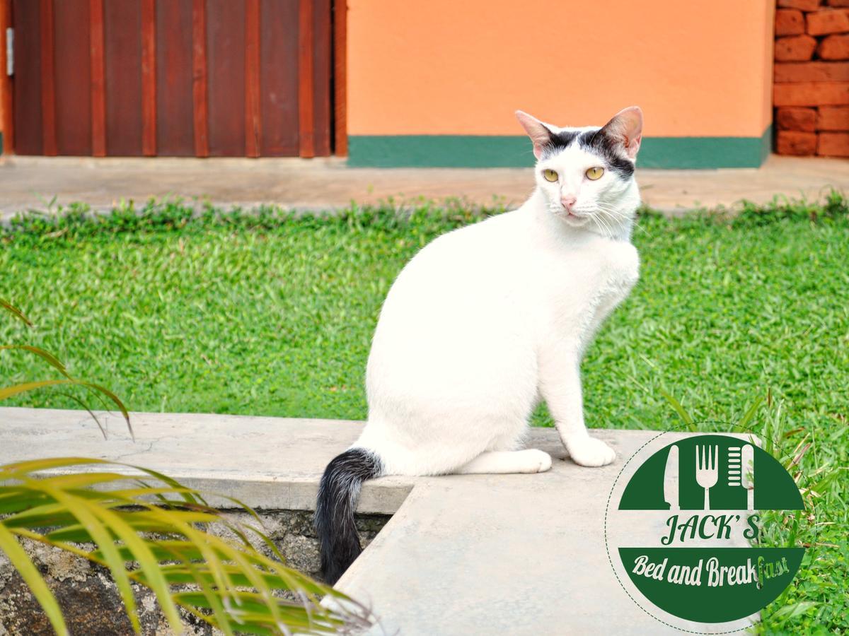 Jacks Bed And Breakfast Talpe Εξωτερικό φωτογραφία